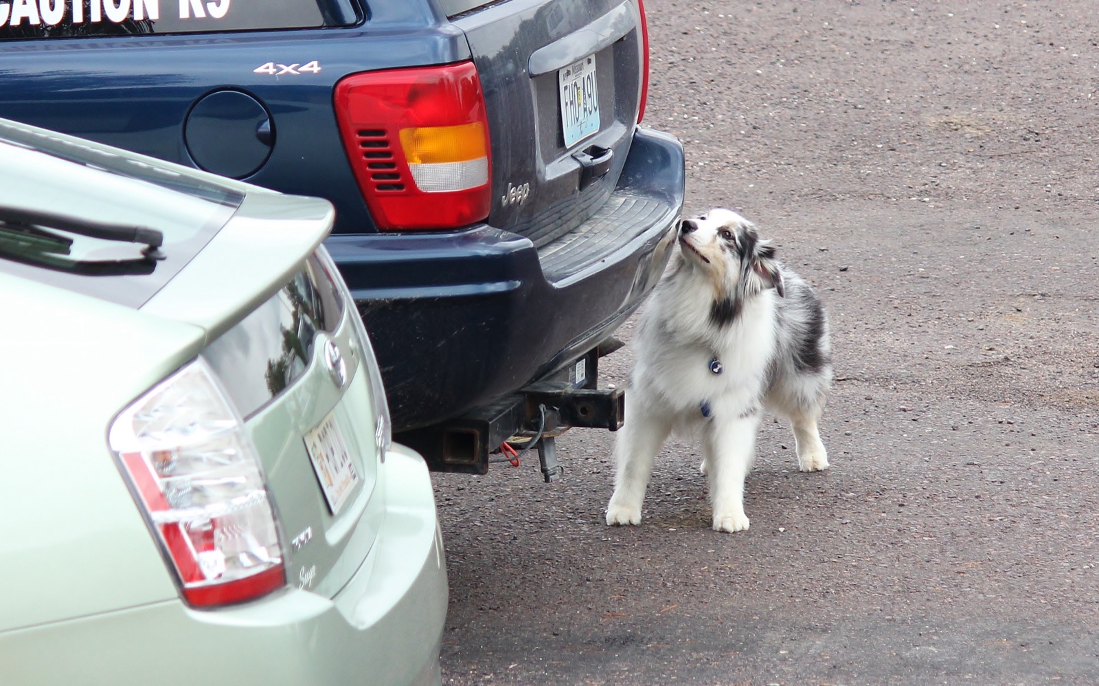 Inside the CCSC training building with agility equipment set up